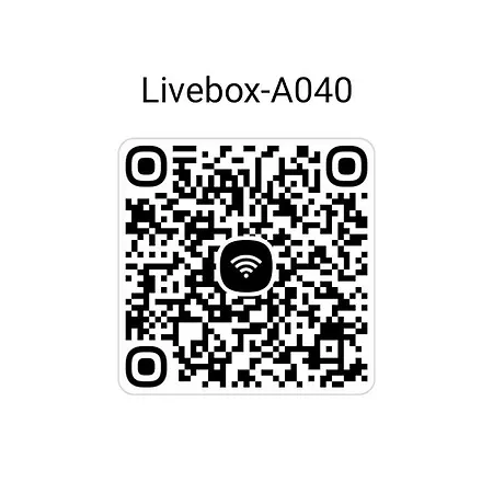 Chez Virginie * Lourdes